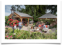 Open Gardens (1) - Kevin Shade